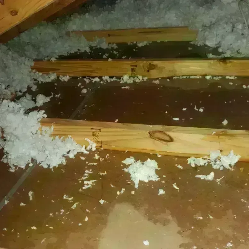 Attic Water Damage in Wilkinson County, GA