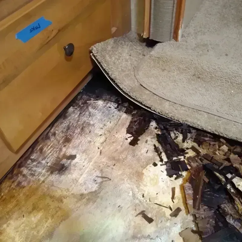 Wood Floor Water Damage in Wilkinson County, GA